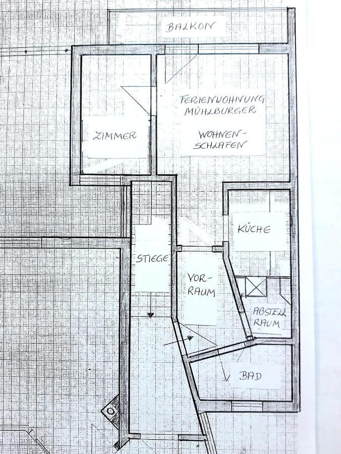 Ferienwohnung Muehlburger Lienz Εξωτερικό φωτογραφία